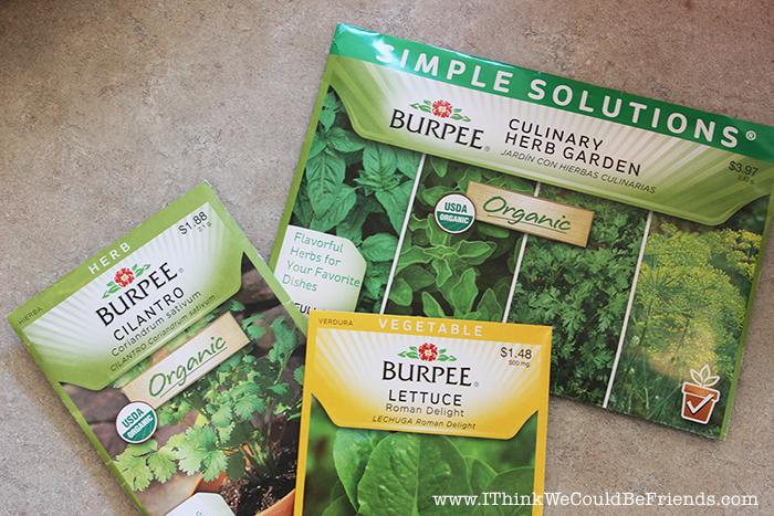 Super Simple Diy Self Watering Herb Garden Diy Herb Garden Soda Bottles Made Into Self Watering Planters Because Herbs Can