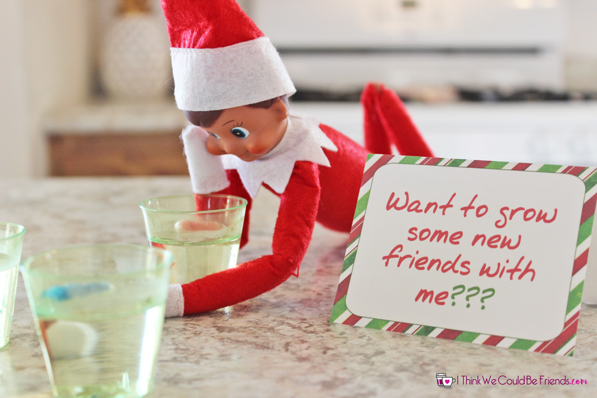 35 New Elf on the Shelf Ideas: #9 Grow New Friends